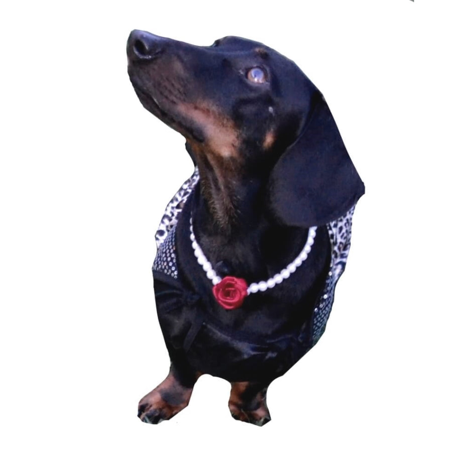 Dress Slinky Leopard with Pearl Necklace