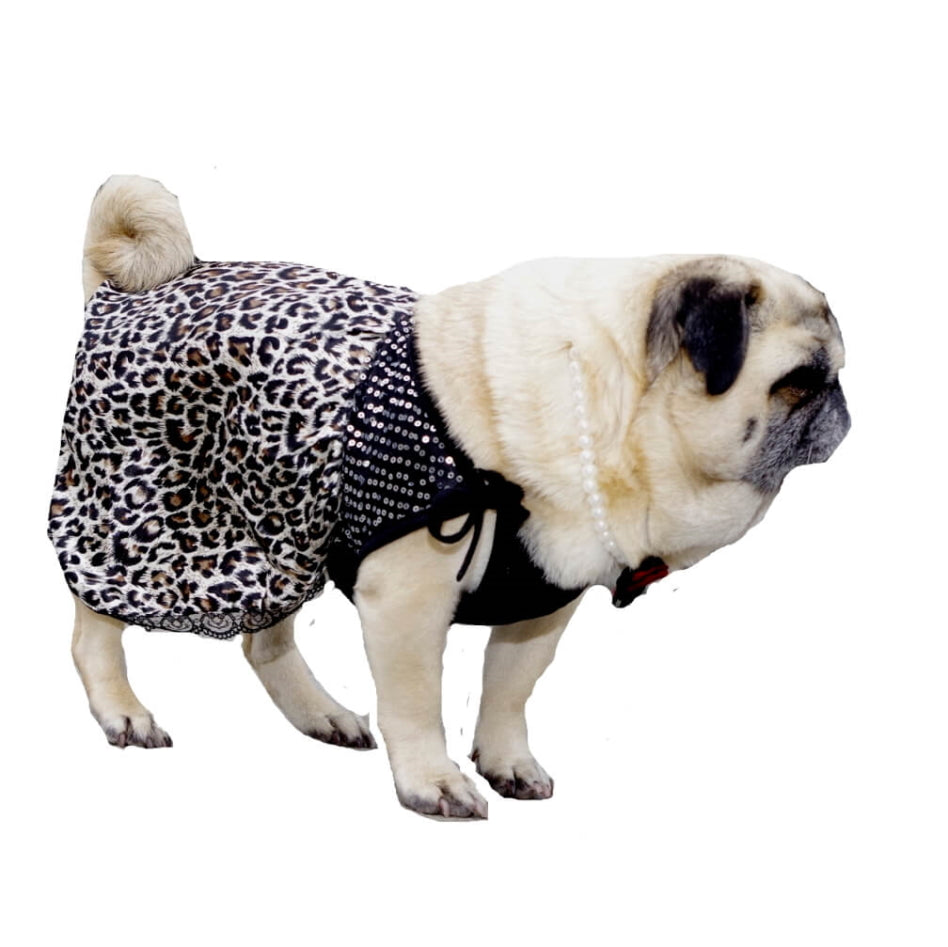 Dress Slinky Leopard with Pearl Necklace