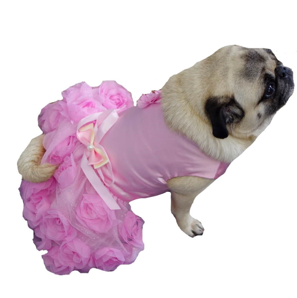 Dress Pink Party Rose