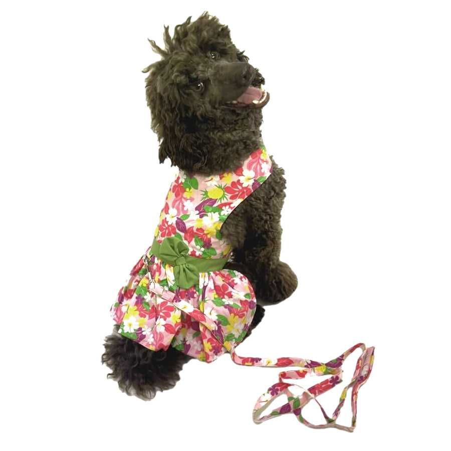 Dress Pink Floral Garden with Matching Lead