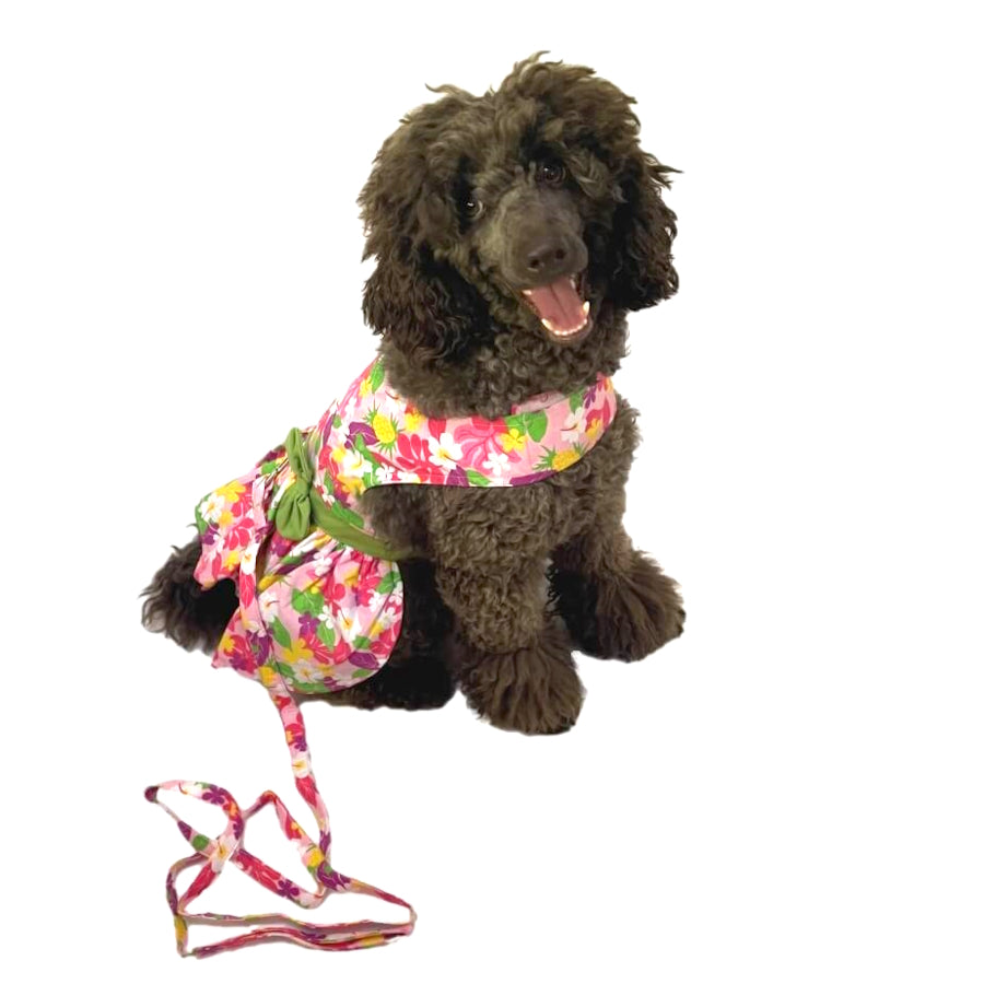 Dress Pink Floral Garden with Matching Lead