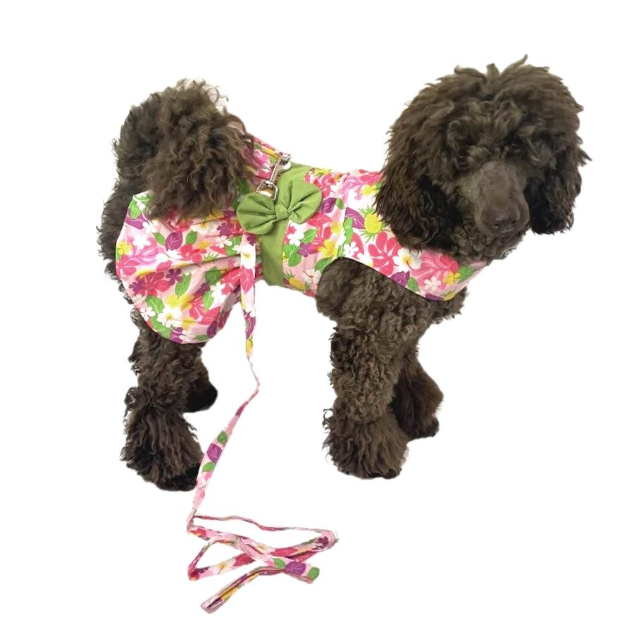 Dress Pink Floral Garden with Matching Lead