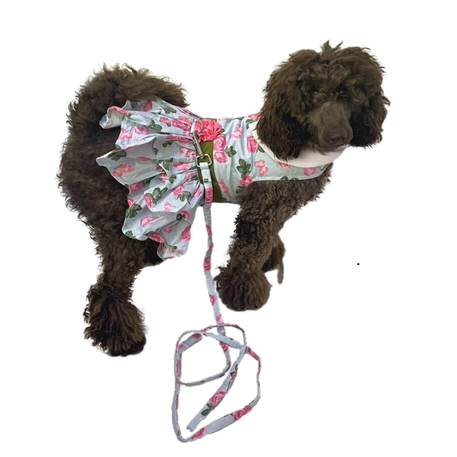 Dress Pink Roses with Matching Lead