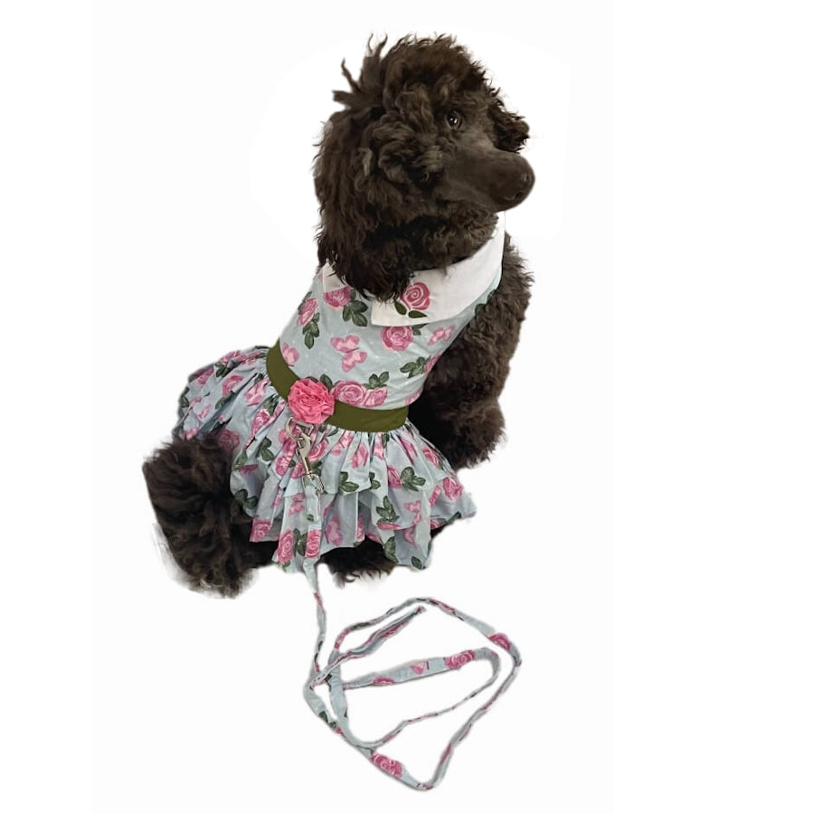 Dress Pink Roses with Matching Lead