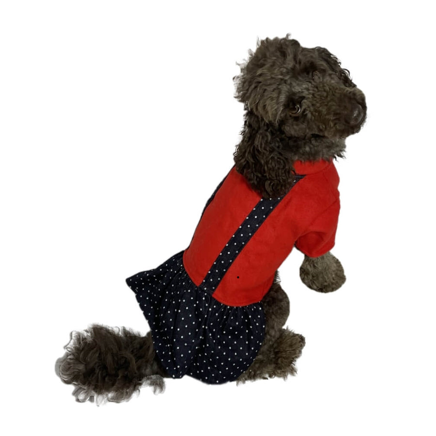 Dress Retro Red Fleece