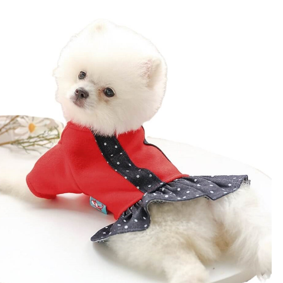 Dress Retro Red Fleece