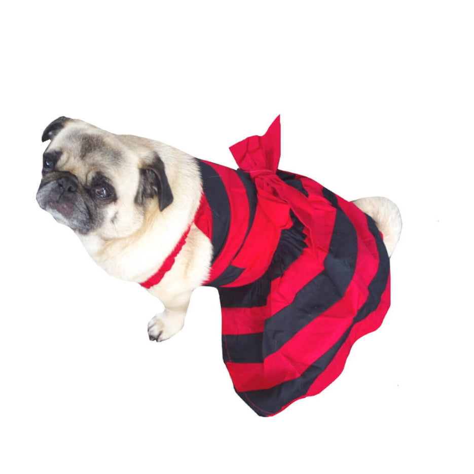 Dress Designer Red Stripe