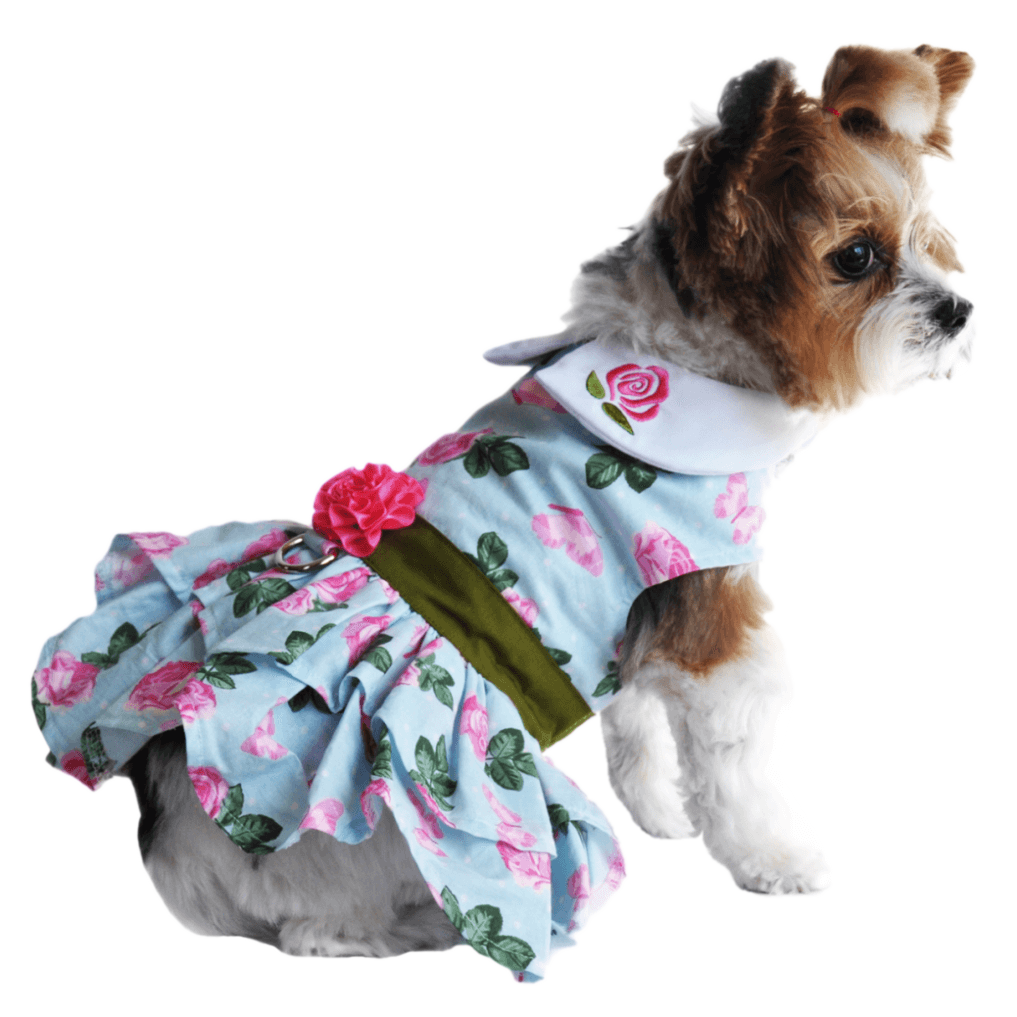 Dress Pink Roses with Matching Lead