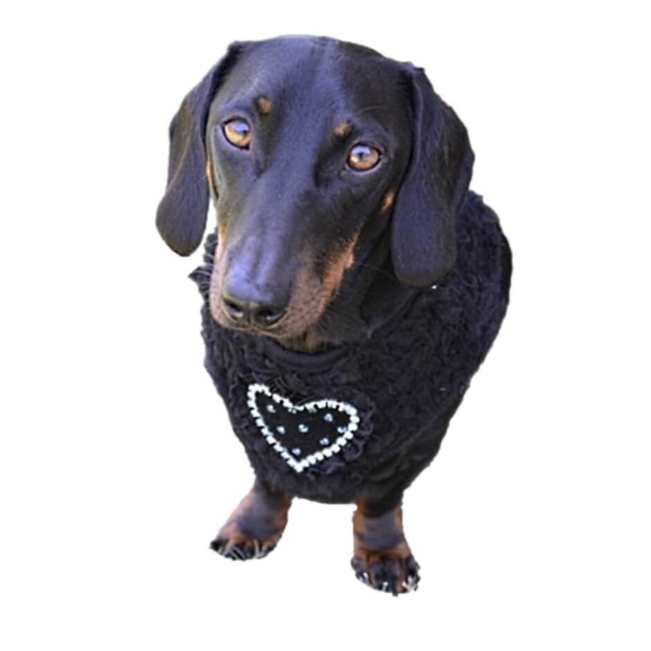 Harness Black Velvet Rhinestones Heart