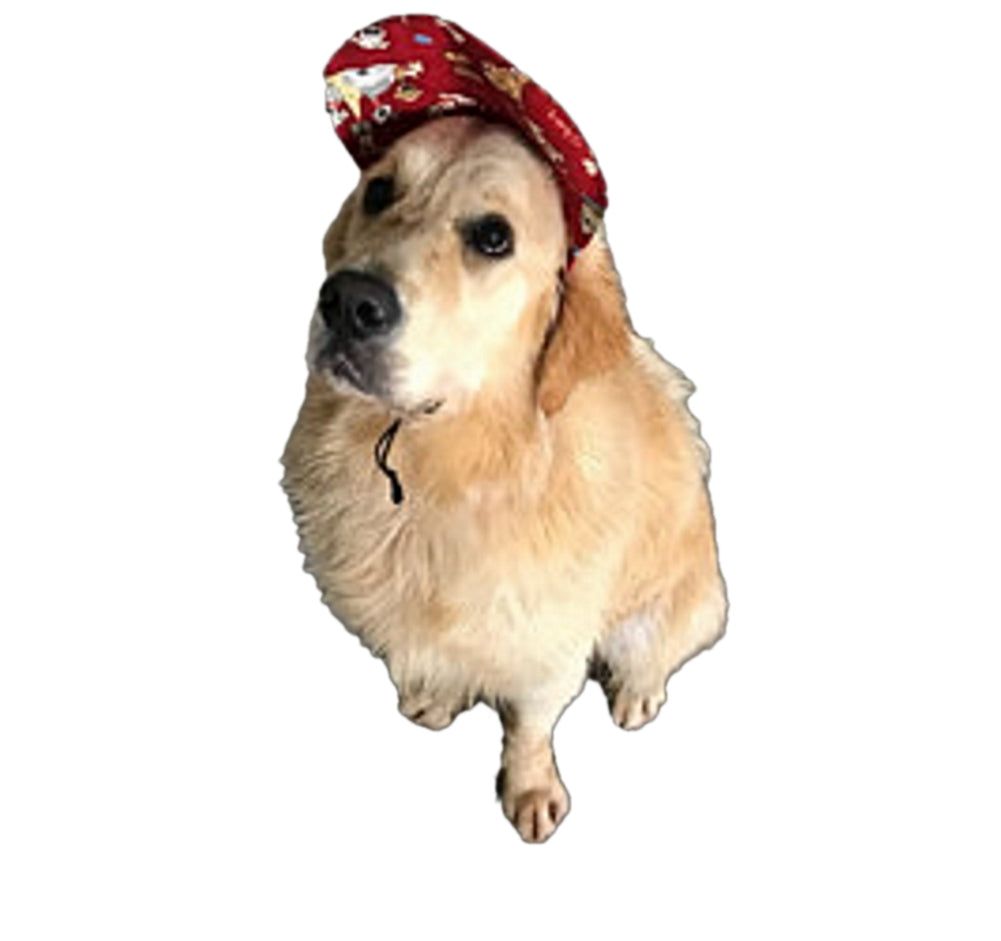 Hat Cap with Chin Strap