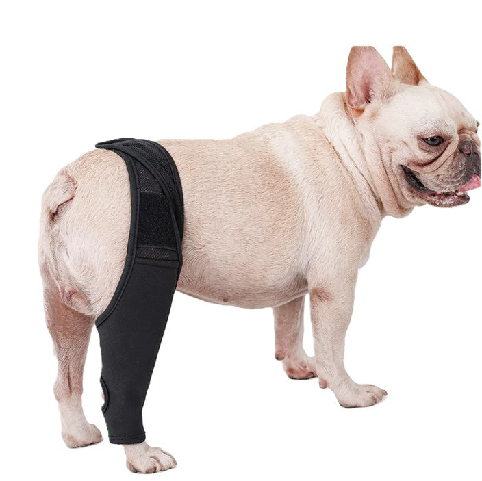 Knee Support with Band