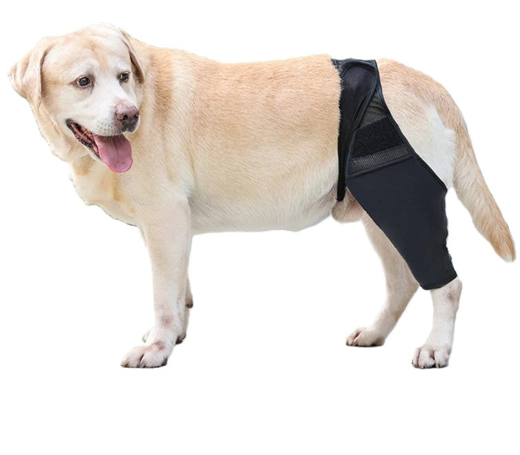 Knee Support with Band