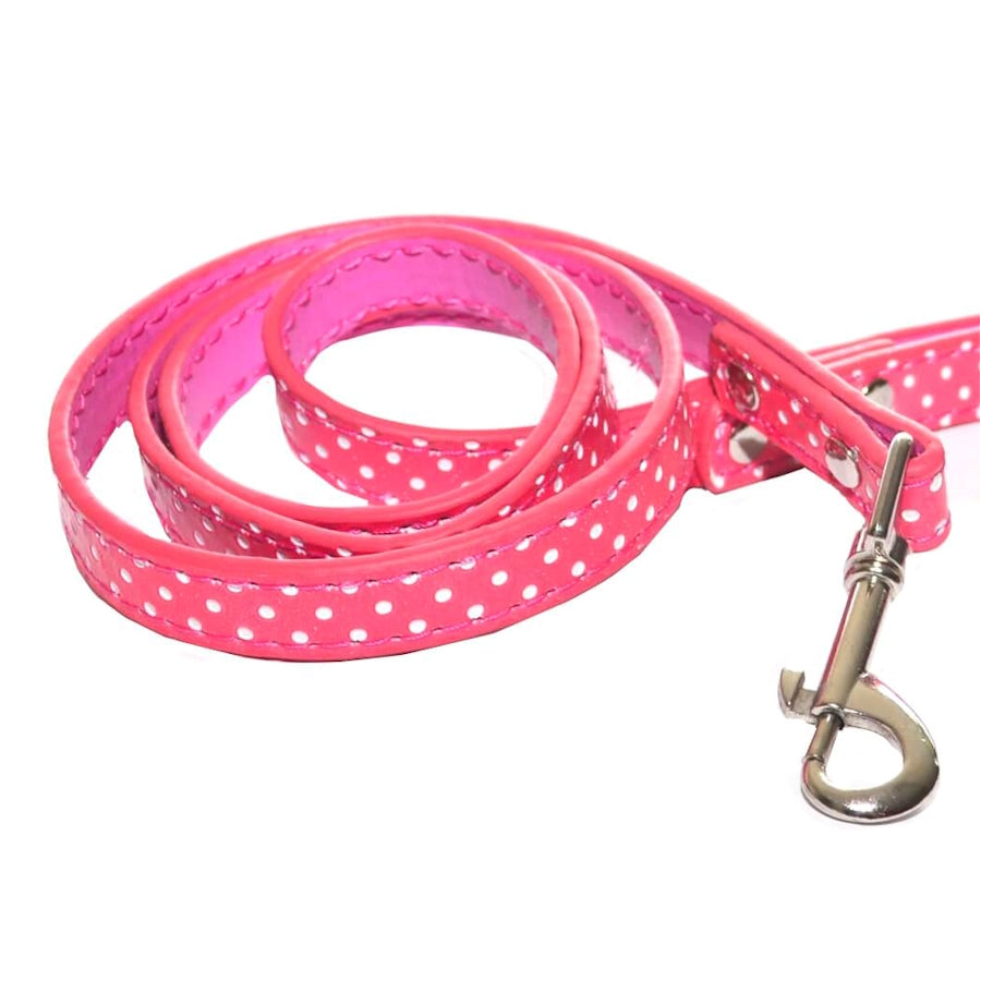Collar or Lead Polka Dot
