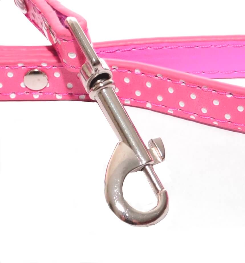 Collar or Lead Polka Dot
