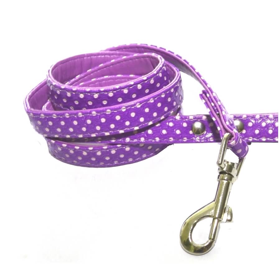 Collar or Lead Polka Dot