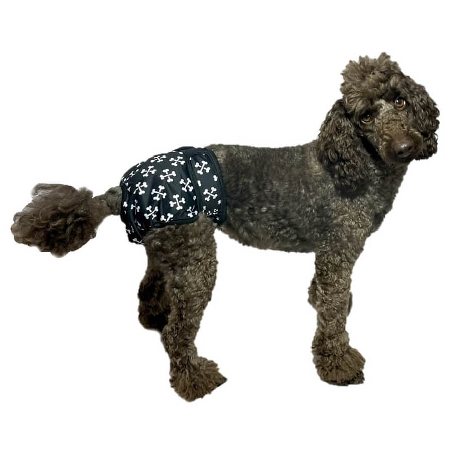 Sanitary Pants Black Crossbones