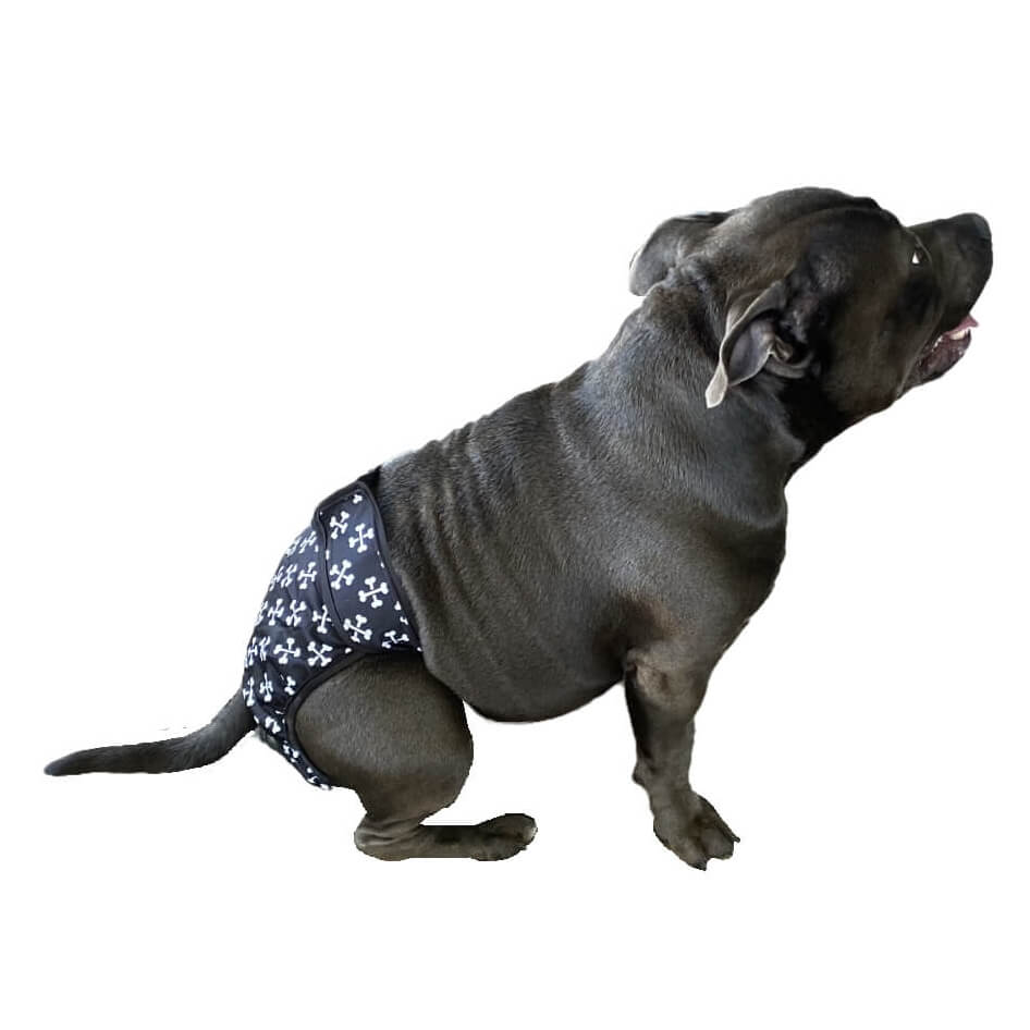 Sanitary Pants Black Crossbones