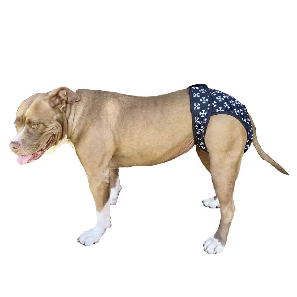 Sanitary Pants Black Crossbones