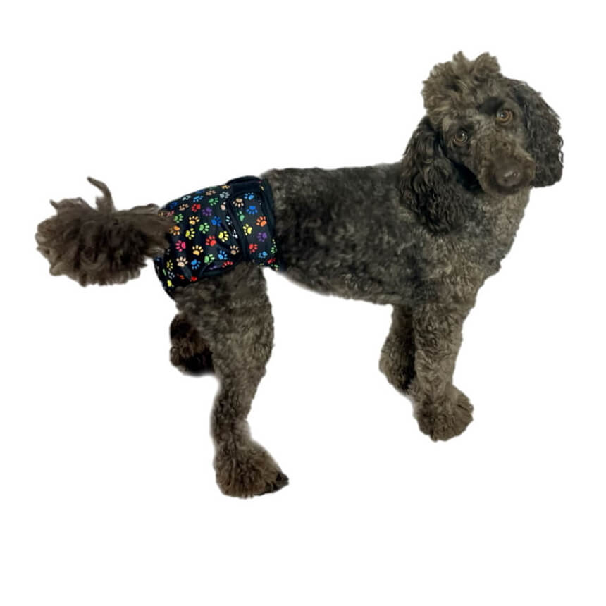 Sanitary Pants Colourful Paws