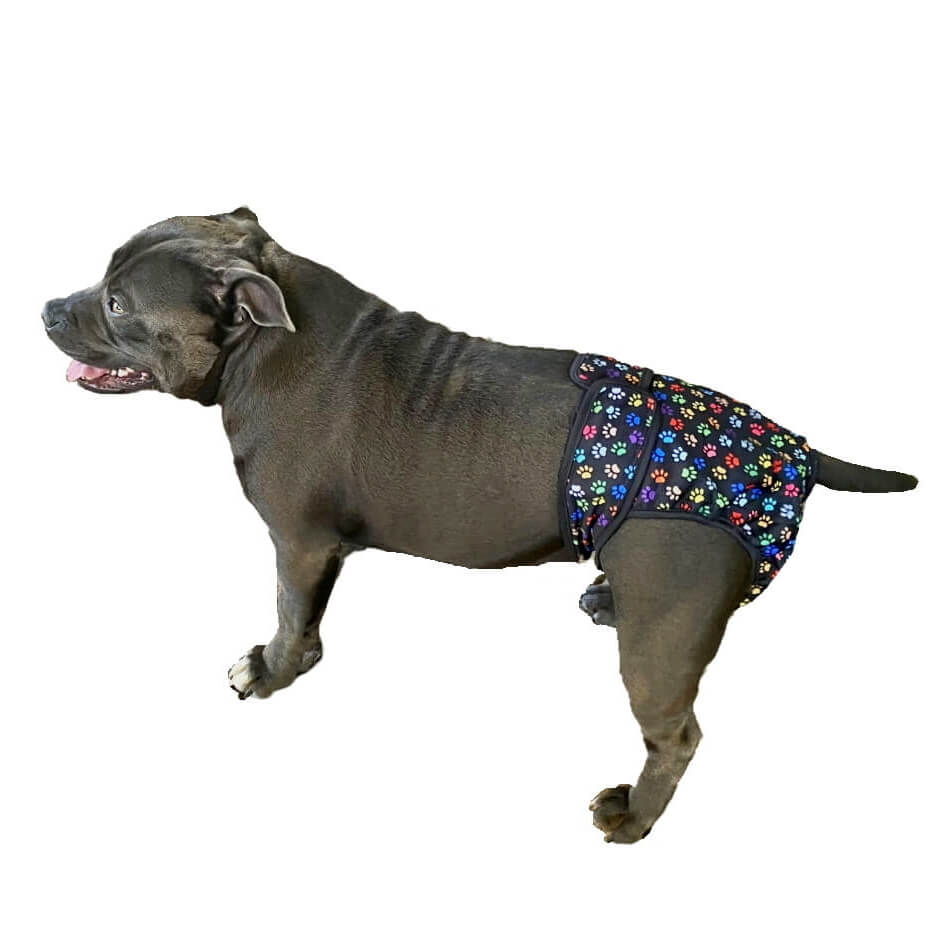 Sanitary Pants Colourful Paws