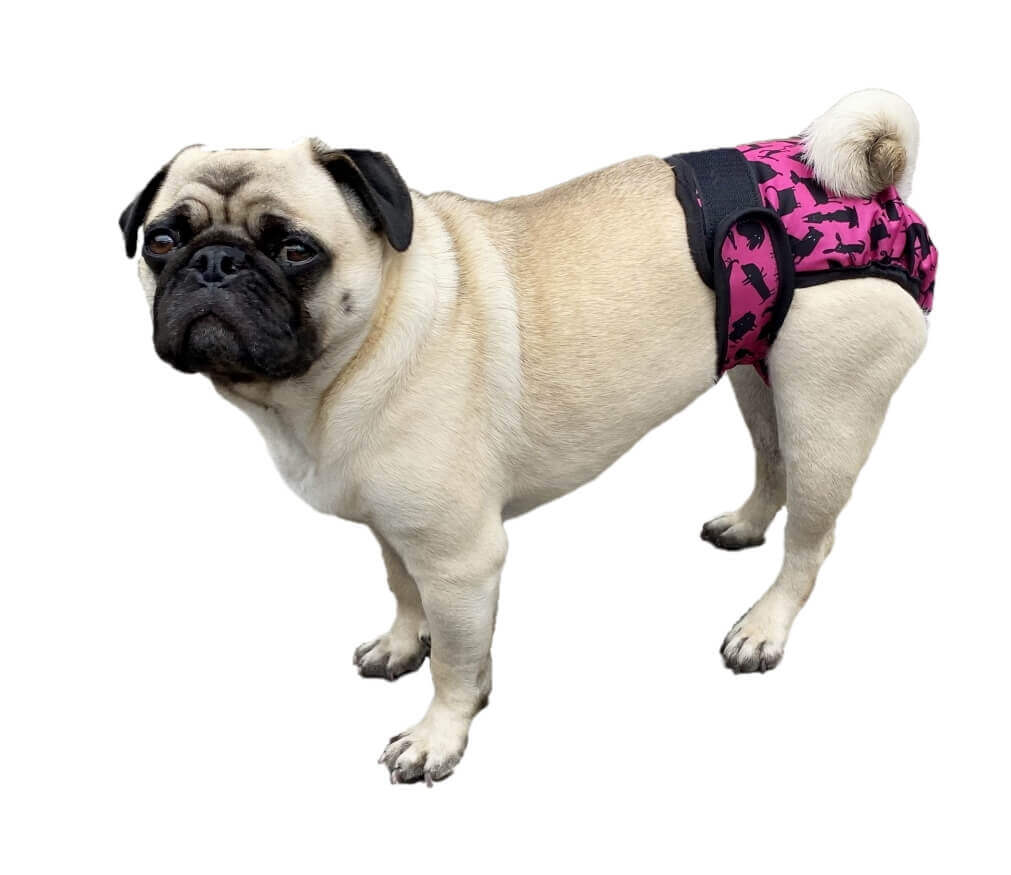 Sanitary Pants Pink Pooches
