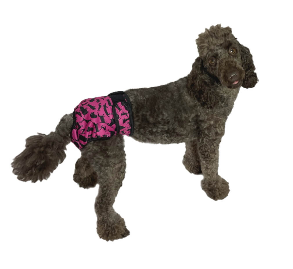 Sanitary Pants Pink Pooches