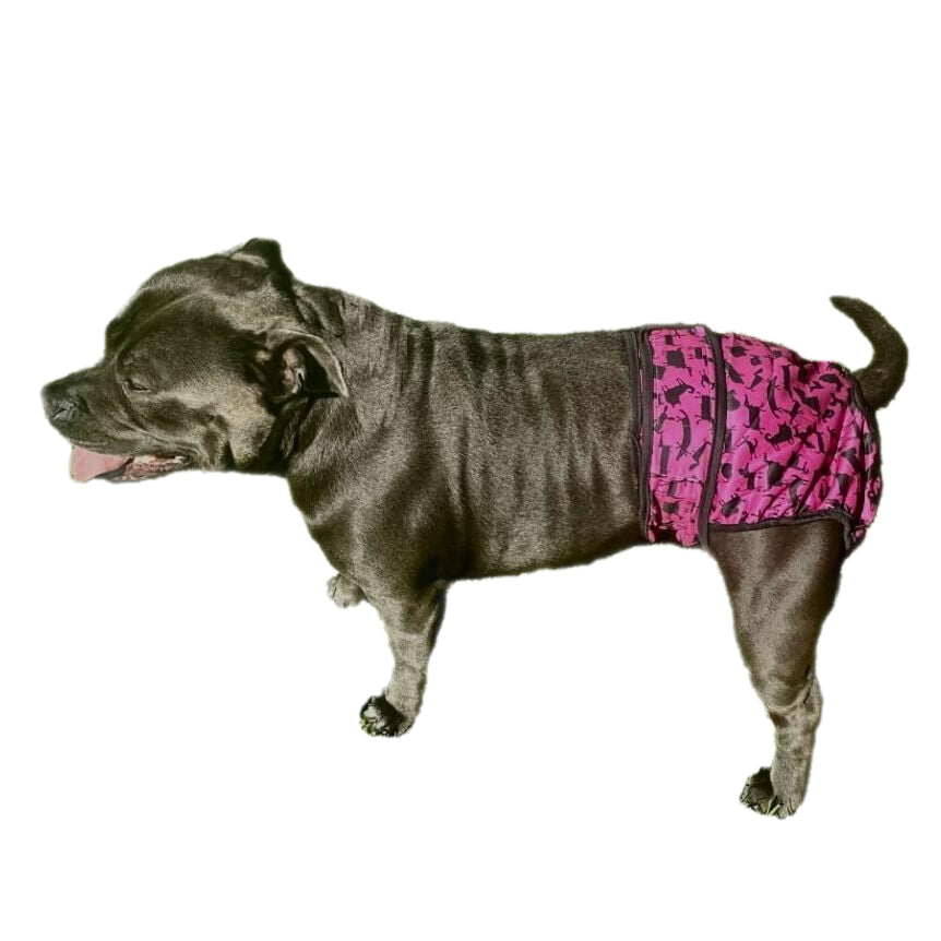 Sanitary Pants Pink Pooches