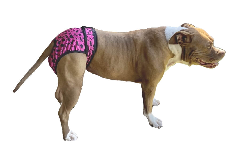 Sanitary Pants Pink Pooches
