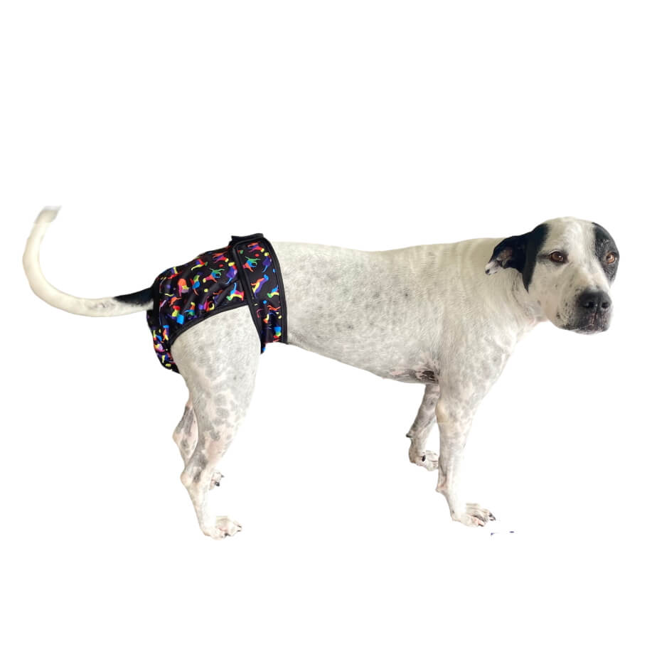 Sanitary Pants Dazzling Dogs