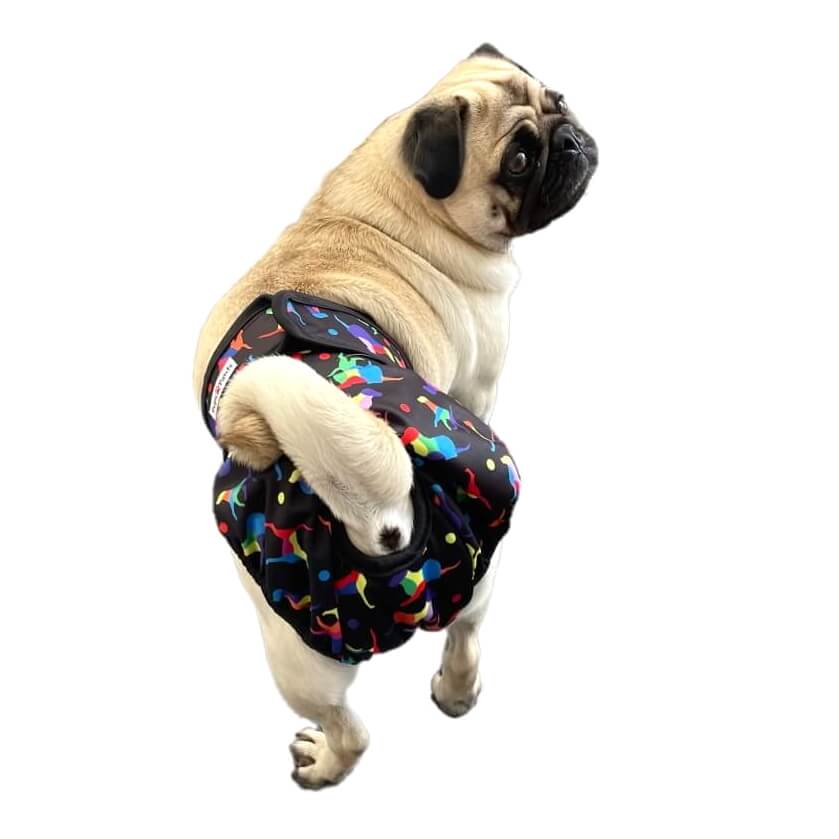 Sanitary Pants Dazzling Dogs