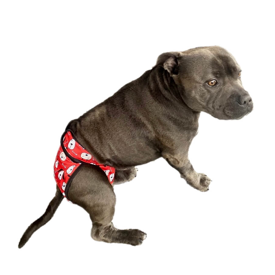 Sanitary Pants Red Hound Heads