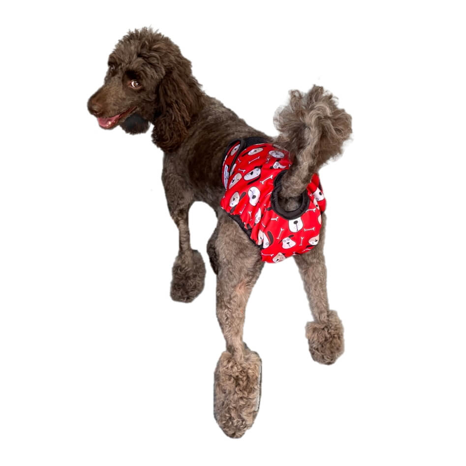 Sanitary Pants Red Hound Heads