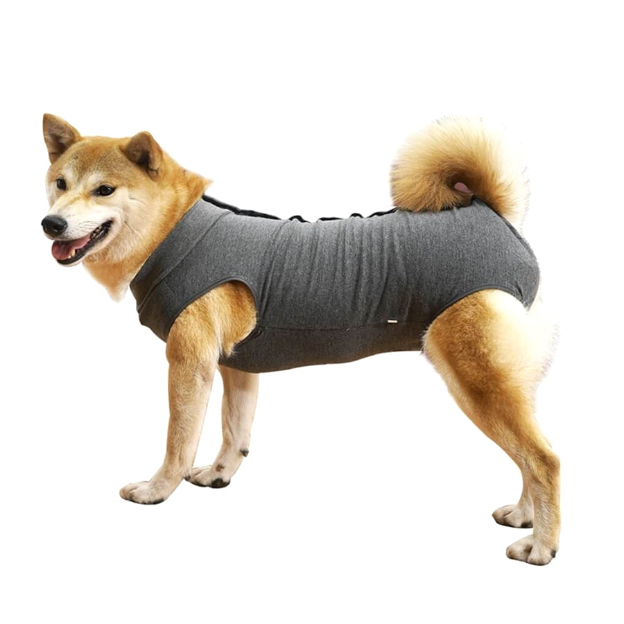 Dog Medical Recovery Jumpsuit Grey