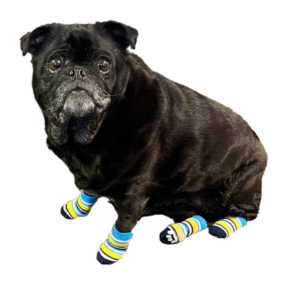 Non-Slip Socks Blue Gold Stripe