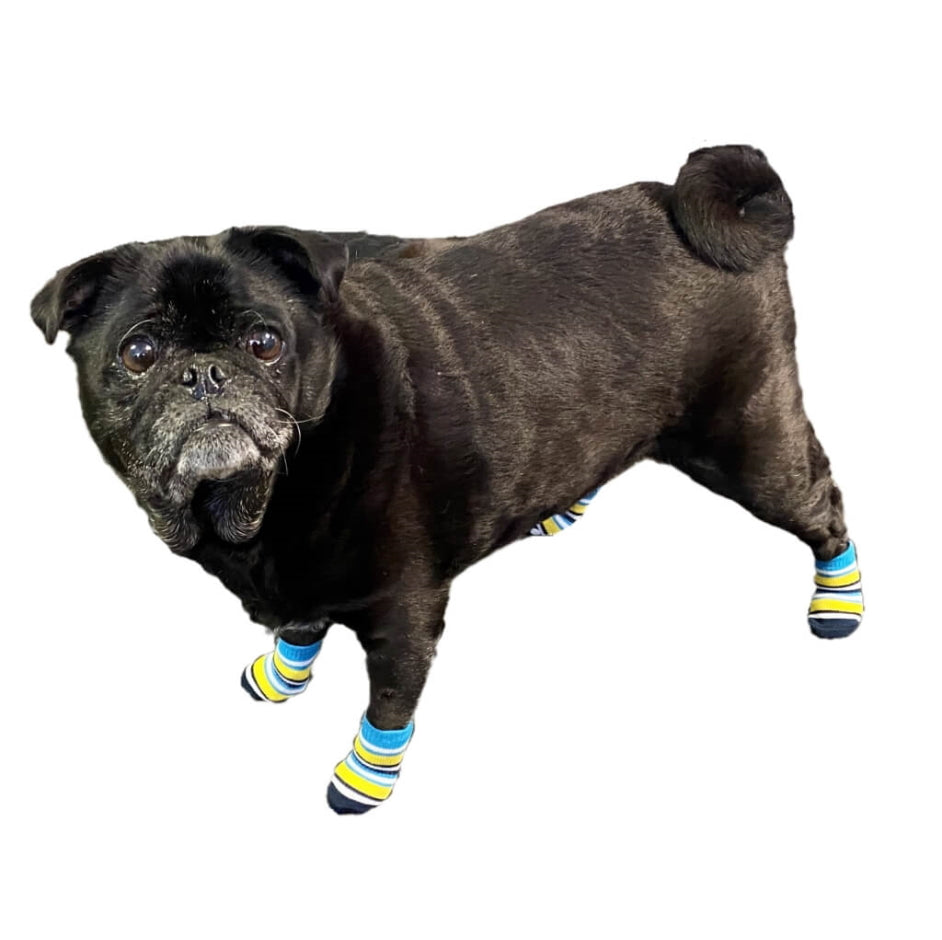 Non-Slip Socks Blue Gold Stripe