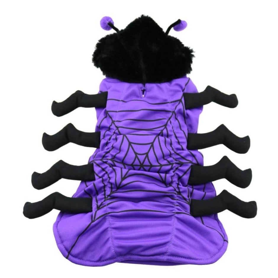 Dress Up Costume Spider