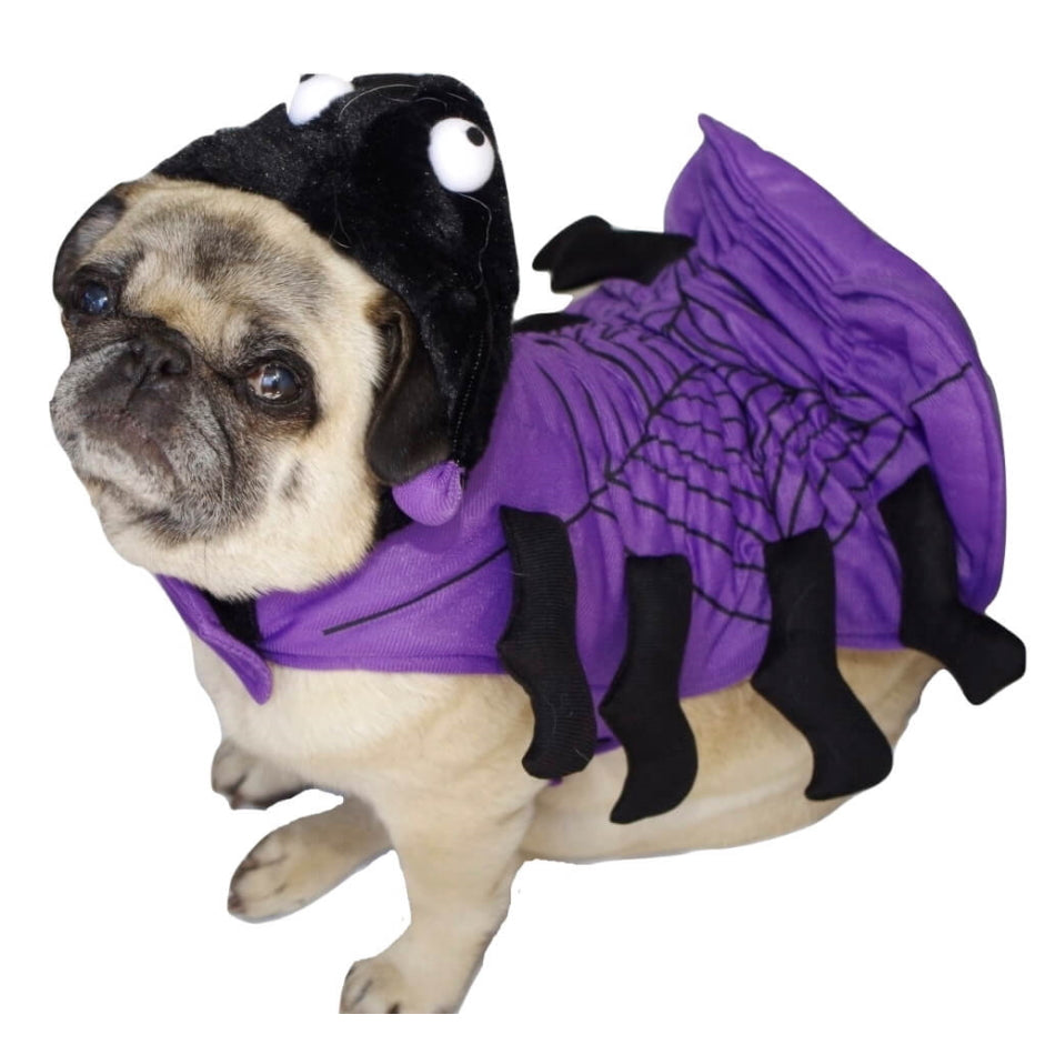 Dress Up Costume Spider