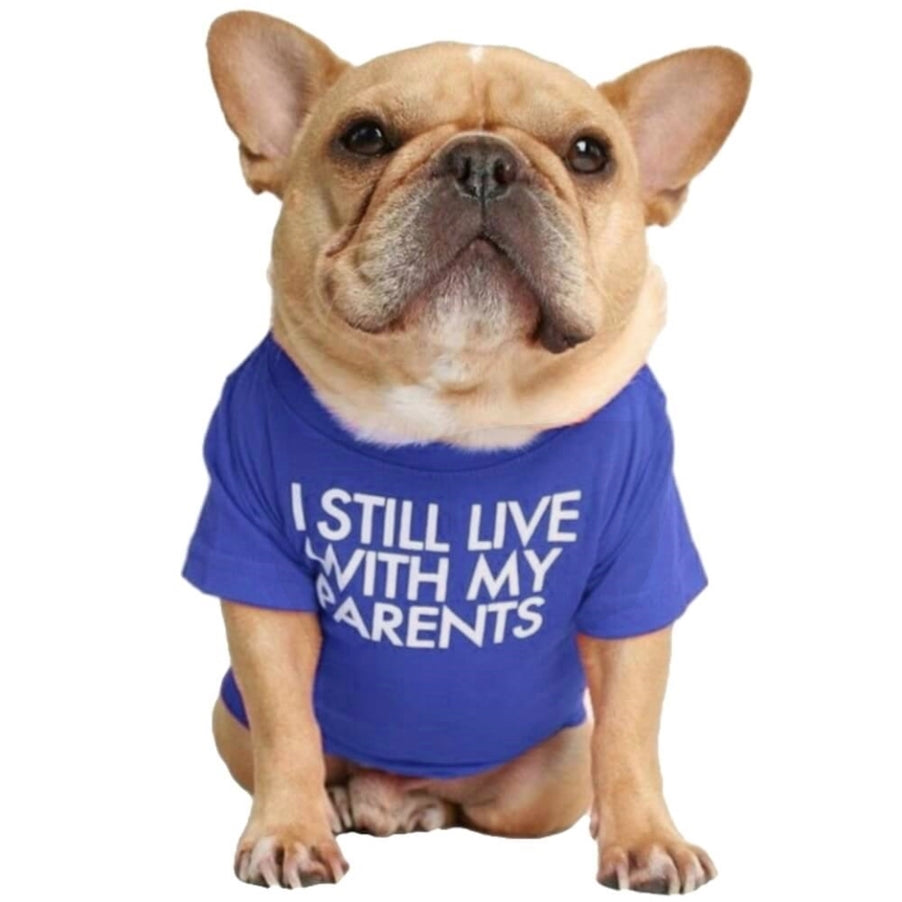 Shirt Blue Still Live With Parents