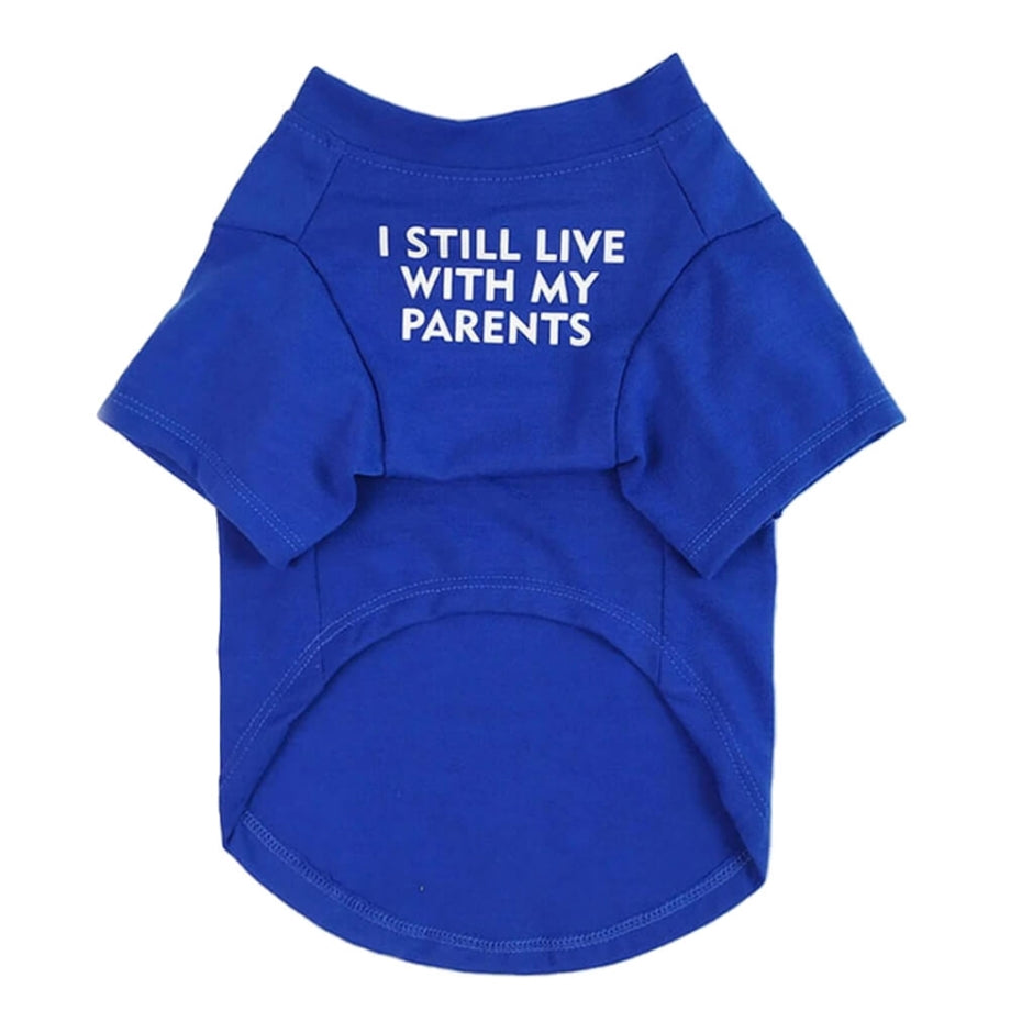 Shirt Blue Still Live With Parents