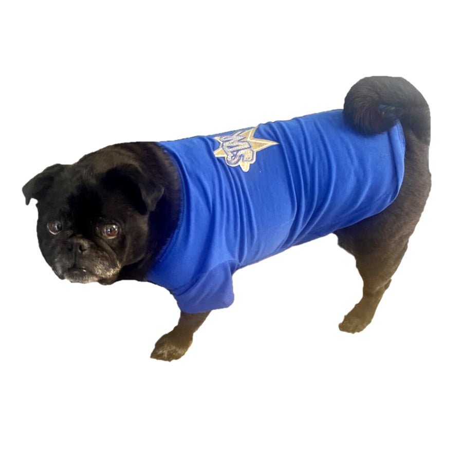 Shirt Blue Still Live With Parents