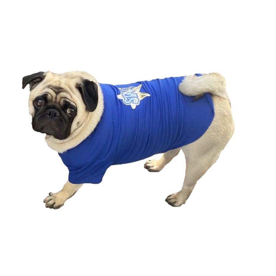 Shirt Blue Still Live With Parents