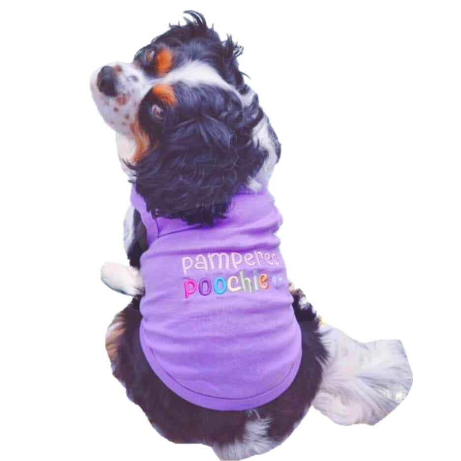 Shirt Purple Pampered Poochie