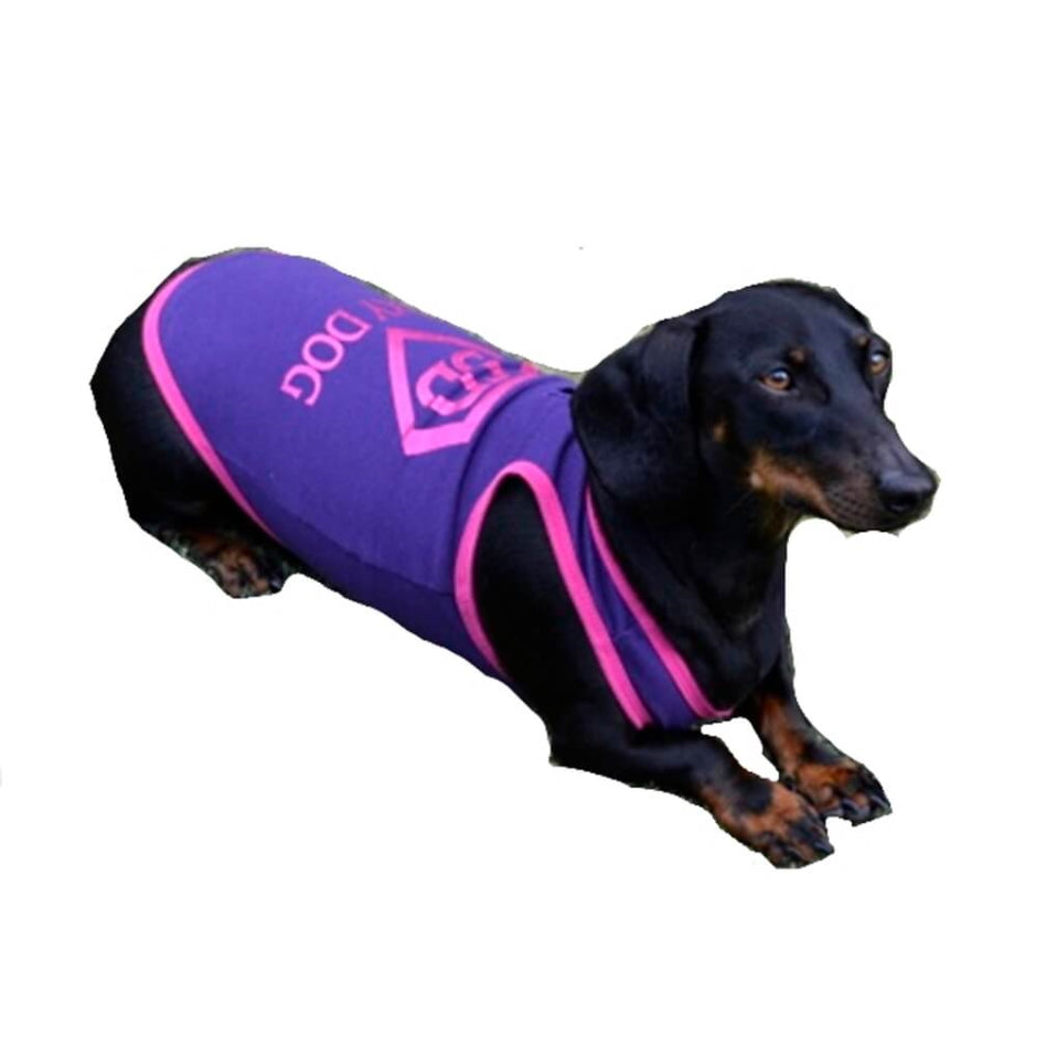 Shirt Purple Sexy Dog