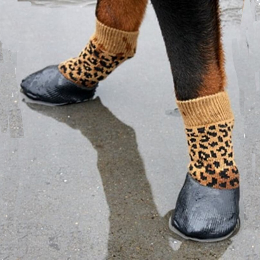 Non-Slip Waterproof Socks