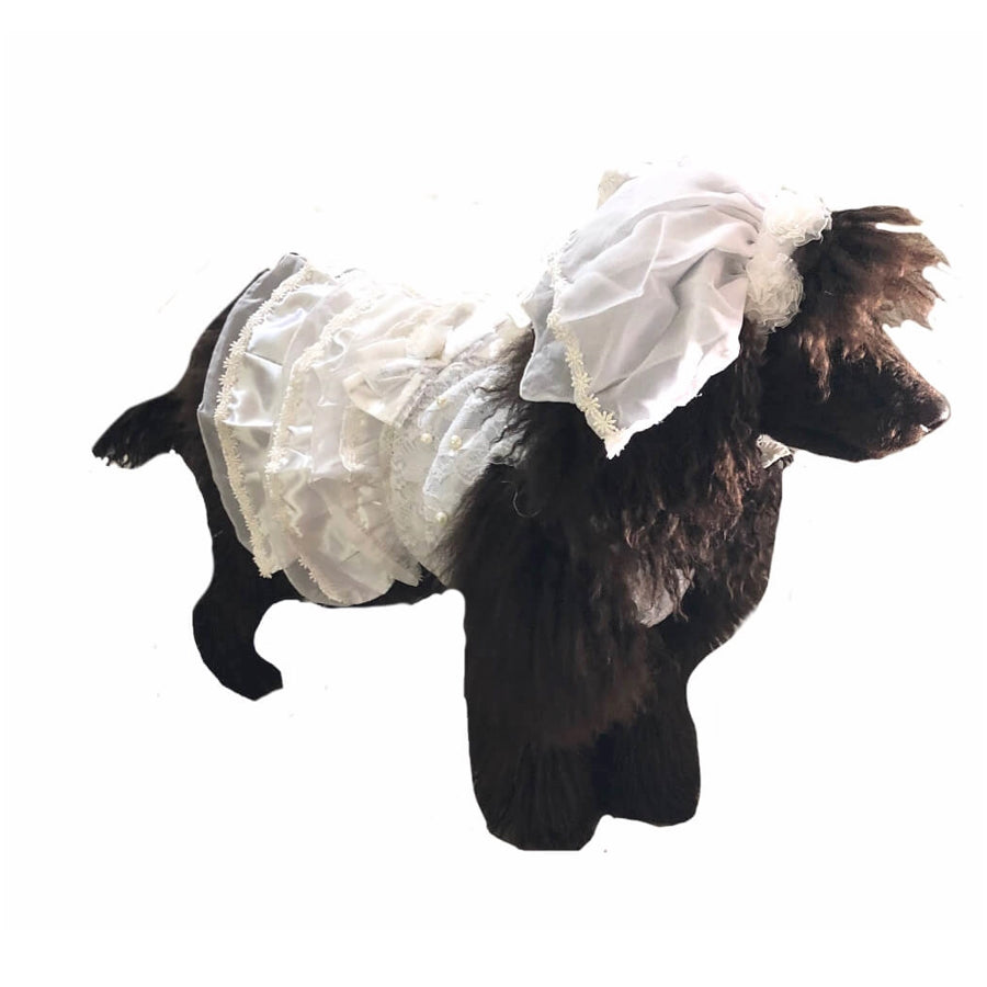 White Wedding Dress and Veil