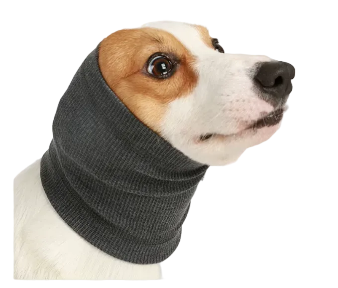 A close-up of a dog wearing a dark gray ribbed knit neck warmer or dog hood, shown against a plain white background.