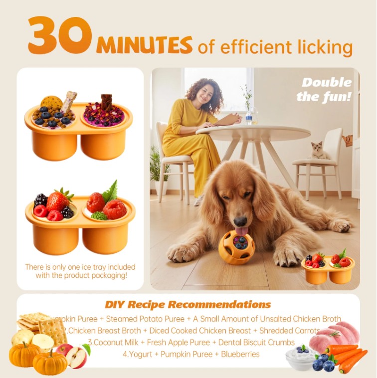 Play & Enrichment Pack