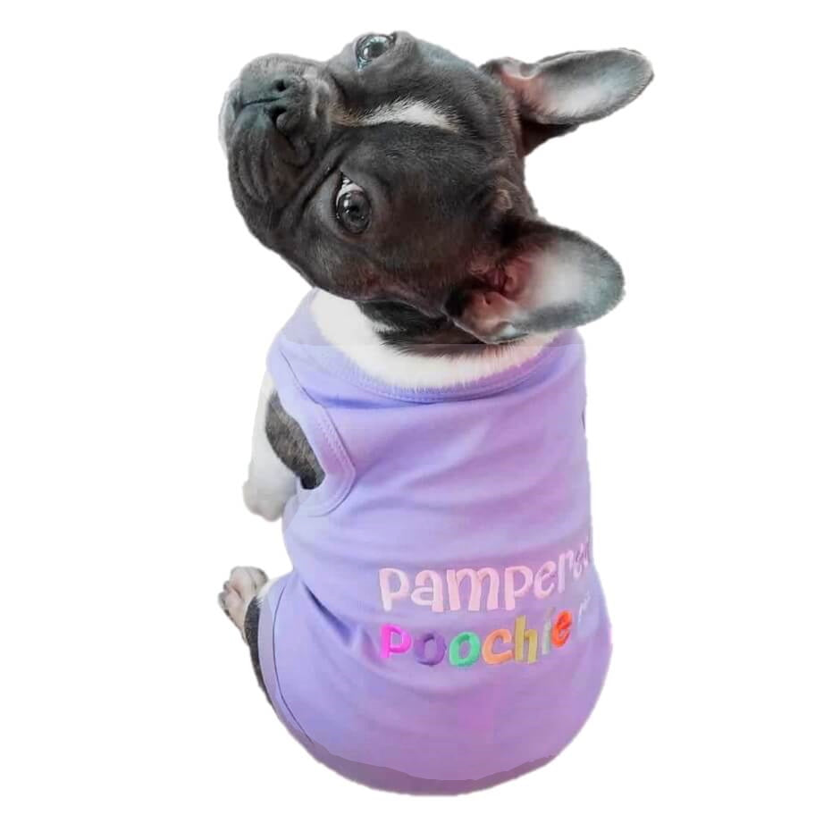Shirt Purple Pampered Poochie