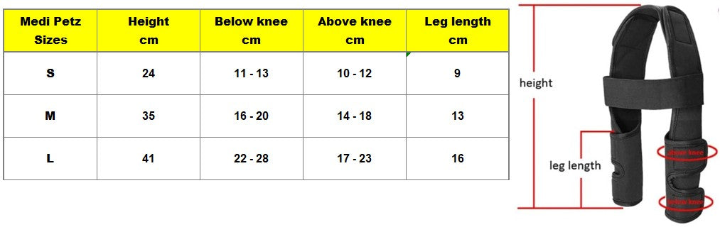 Front Legs Knee Support