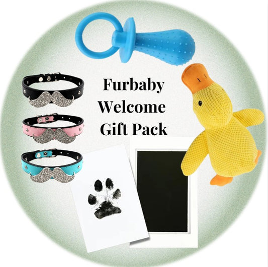Furbaby Welcome Gift Pack